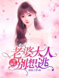 沈蔓歌叶南弦的小说名