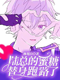 陆总替身大结局