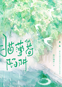 猫薄荷陷阱