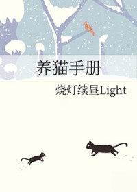 养猫手册