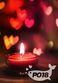 炮灰攻略陈宥维