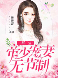 一婚二宝帝少宠妻无节制笔趣阁