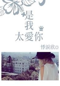 是我过于太爱你