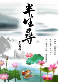 半生寻小说