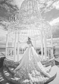囚鸟视频女免费版