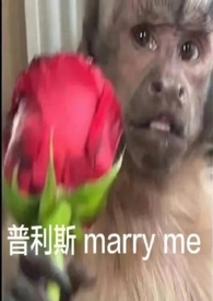 中午吃了诺氟沙星晚上能吃左氧氟沙星吗