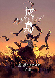 灰鸟原创定拍