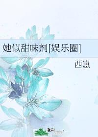 她似甜味剂小说全文阅读