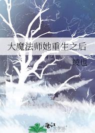 魔法师重生改变未来